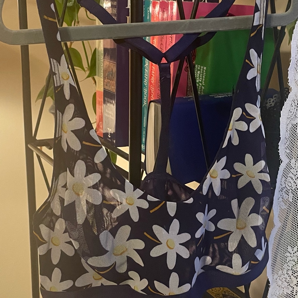 Nwt Parade Silky Mesh Daisy Bralette In Size Medium
